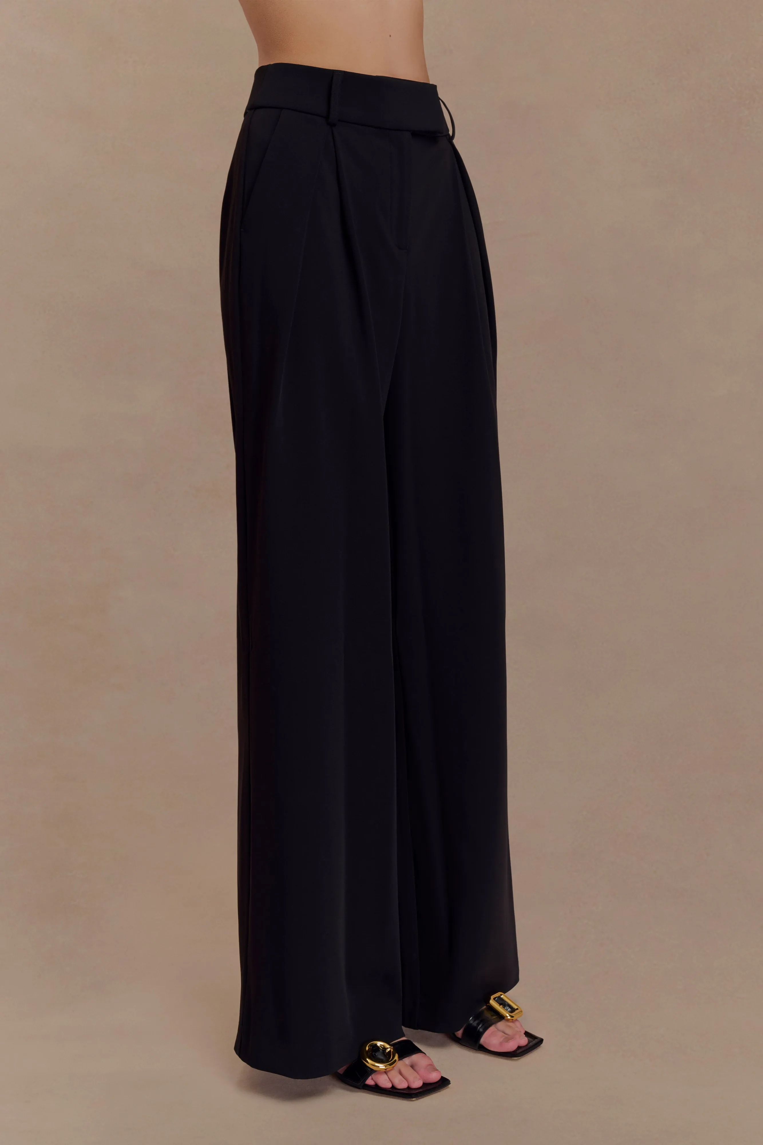 Jacqueline Pleated Wide Leg Pants - Black